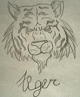 Drawing - Tiger - Pencil