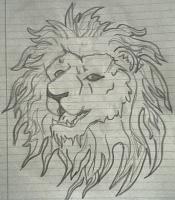 Drawing - African Lion - Pencil